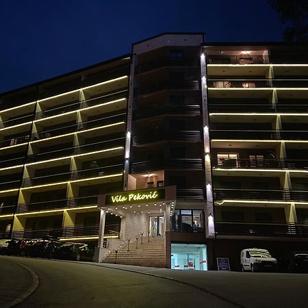 Apartment Pino Bianco 1 - Vila Pekovic Zlatibor Exterior photo